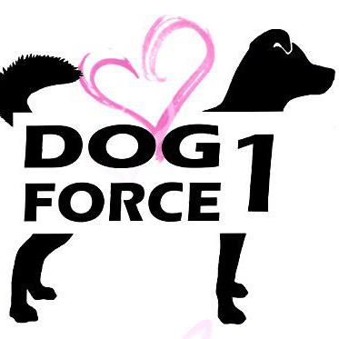 Dog force one logo
